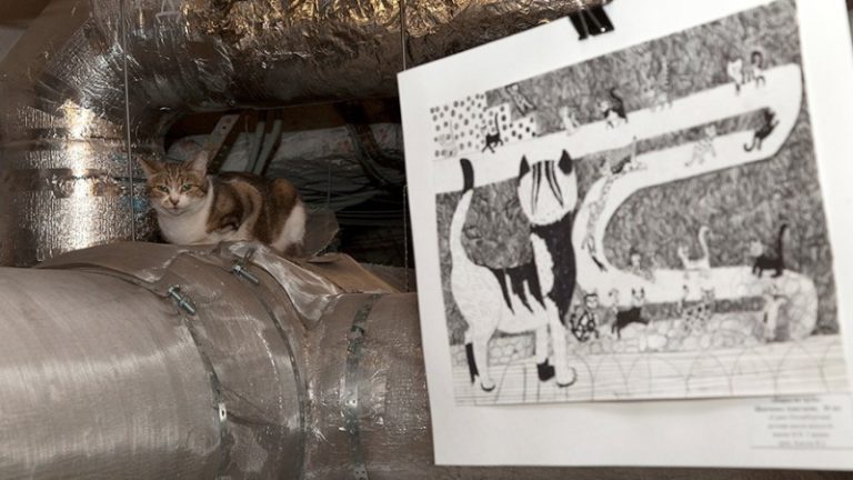 В Эрмитаже открылась выставка победителей конкурса рисунков ко Дню эрмитажного кота