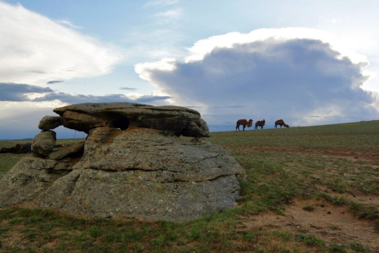 В Монголии нашли 137 очагов чумы. Некоторые из них — на границе с Россией