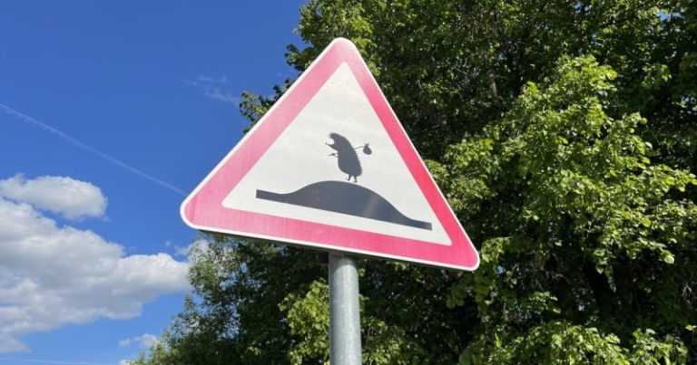 В Подмосковье найден самый милый дорожный знак