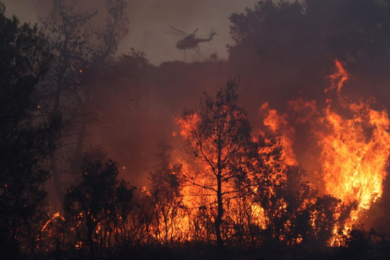 Премьер Греции Мицотакис: Страна находится в состоянии войны из-за лесных пожаров