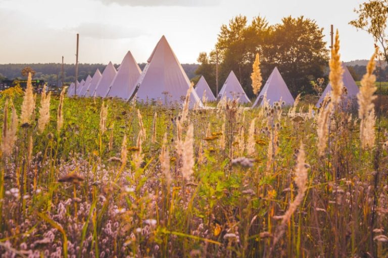 Гастрономический пикник «Август»: гид по фестивалю