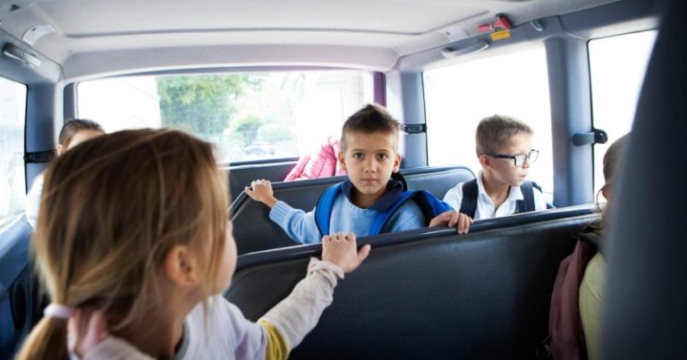 Россиян предостерегли от покупки авто за счет маткапитала