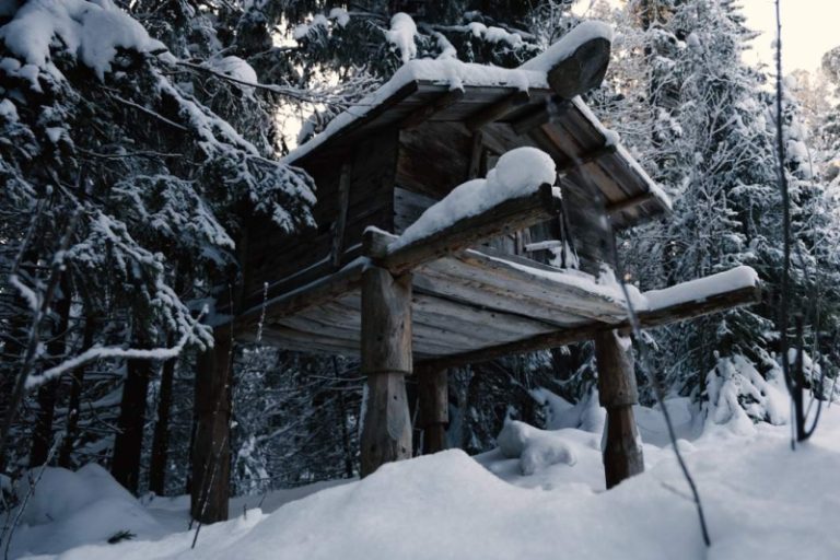 Мистика такая-то: НМГ ДОК в новом проекте объяснят легенды и мифы