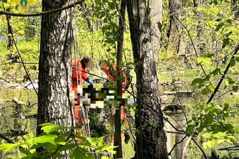 Найденная мертвой в Измайловском парке школьница могла отравиться психотропами