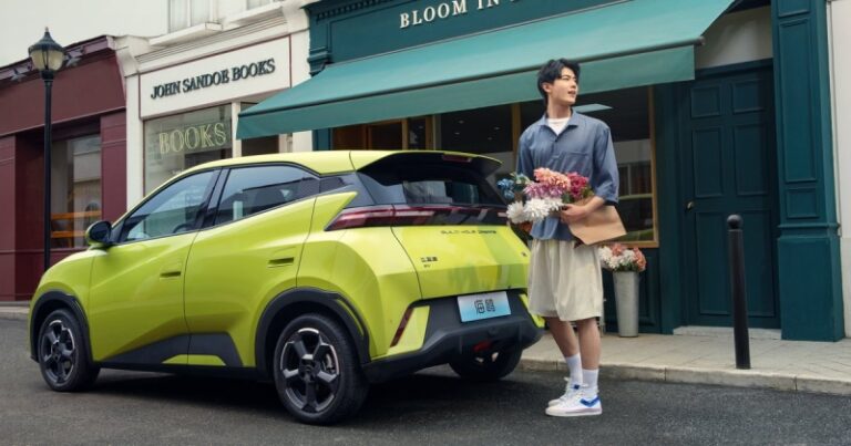 Основатель BYD обвинил Европу и США в нечестной игре