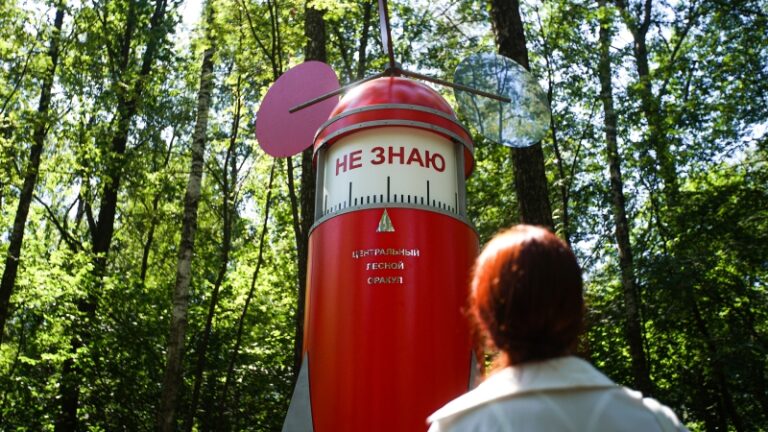 Кто в лес: в Парке Малевича открыли новую арт-экспозицию