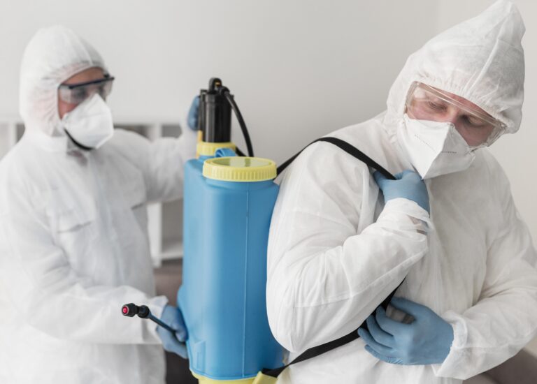 Почему важно уничтожать тараканов: опасности, последствия и эффективные методы борьбы